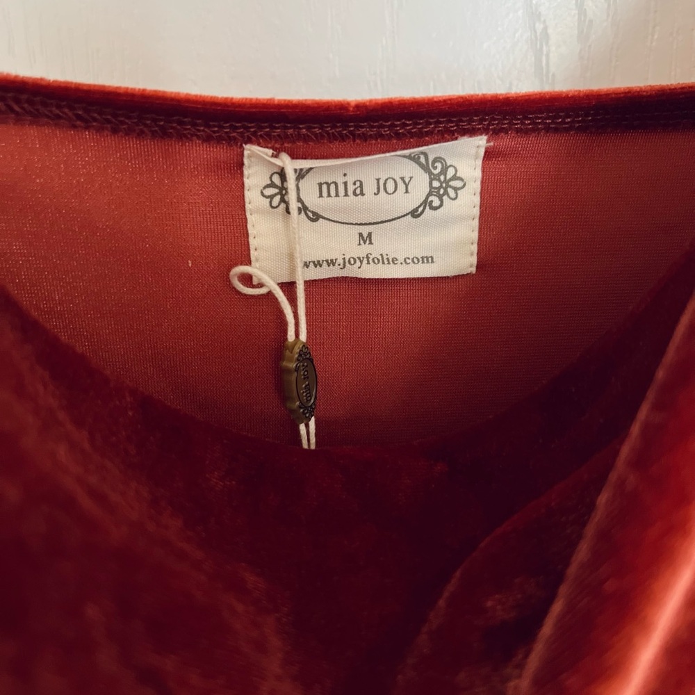 Joyfolie Velvet Mini Dress in Cinnamon - Picture 4 of 9